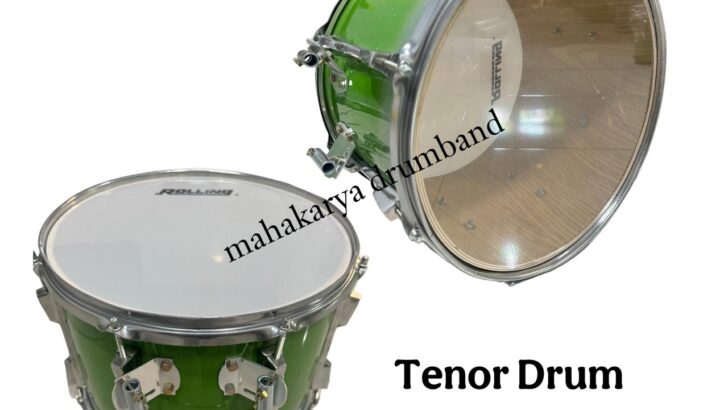 Alat Musik Tenor