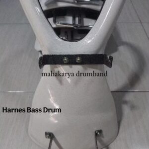 Harnes fiber Bass