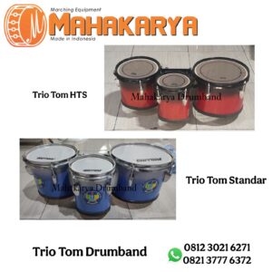 Triotom Hts dan Triotom Standar